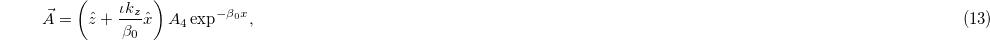 Equation (13)