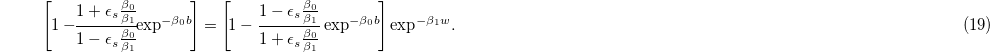Equation (19)