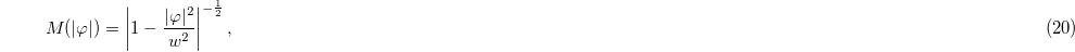 Equation (20)