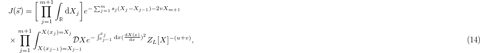 Equation (14)