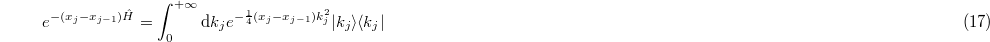 Equation (17)