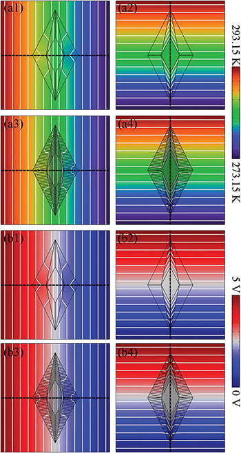 Path-dependent bifunctional device in thermal-electric field