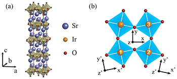SORA-Q Flagship Model -宇宙兄弟EDITION- Universal excitonic superexchange in spin-orbit-coupled Mott