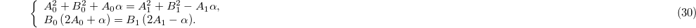 Equation (30)