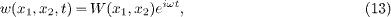 Equation (13)