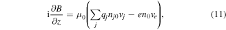 Equation (11)