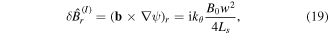 Equation (19)