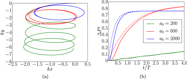 Electron spin polarization in realistic trajectories around the ...