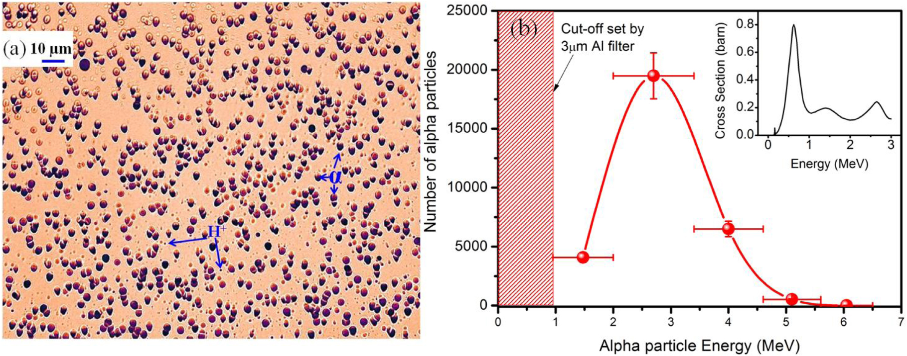 Experimental investigation on nuclear reactions using a laser ...