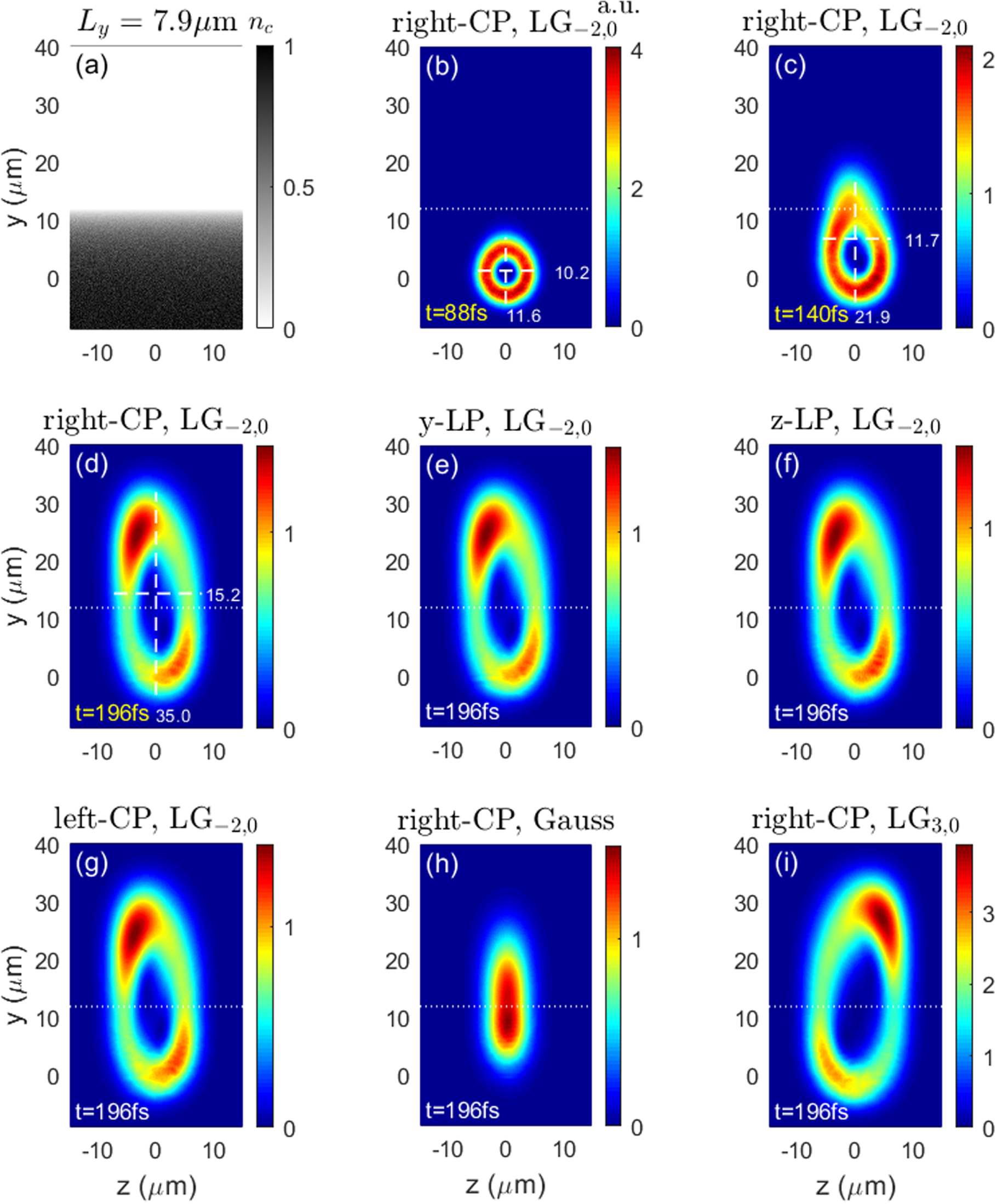Asymmetric optical vortex in plasma density gradient - IOPscience