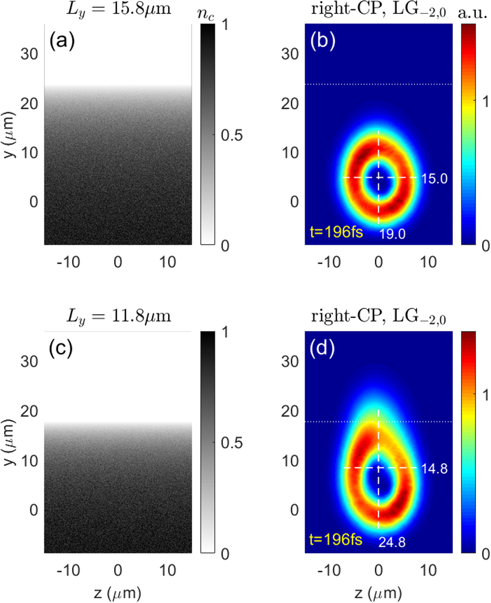 Asymmetric optical vortex in plasma density gradient - IOPscience