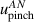 $u_{\textrm{pinch}}^{\,AN}$