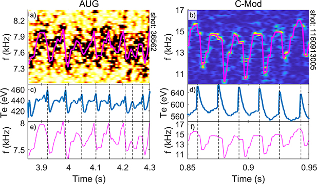 The low frequency edge oscillation in alcator C-Mod and ASDEX