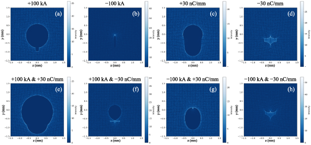 Figure 3. Refer to the following caption and surrounding text.