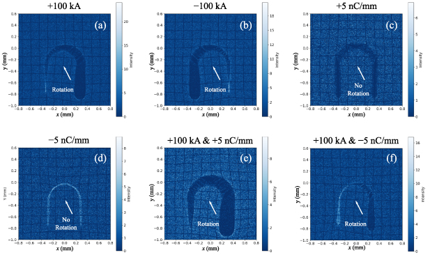 Figure 4. Refer to the following caption and surrounding text.