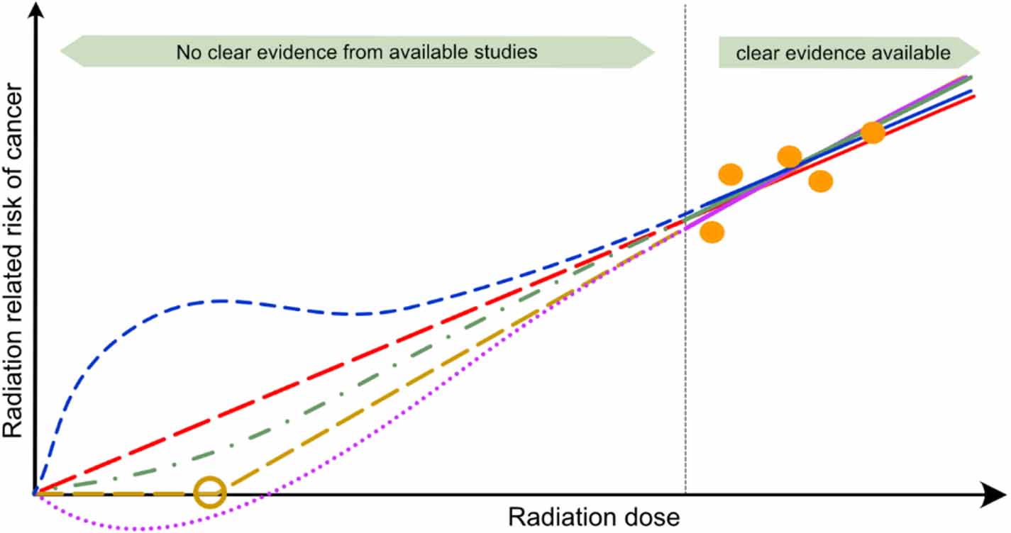 The linear no-threshold model in radiation protection—the view of the ...
