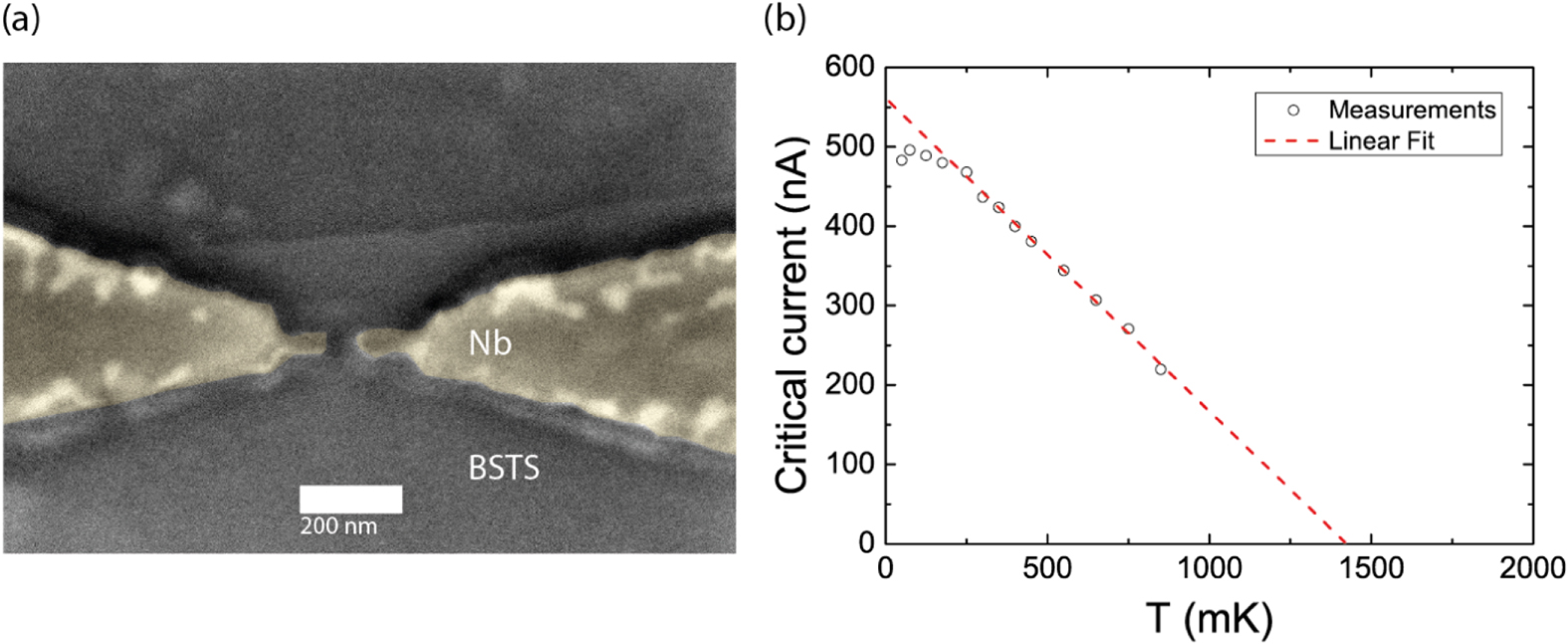 Josephson supercurrent in a topological insulator without a bulk shunt ...
