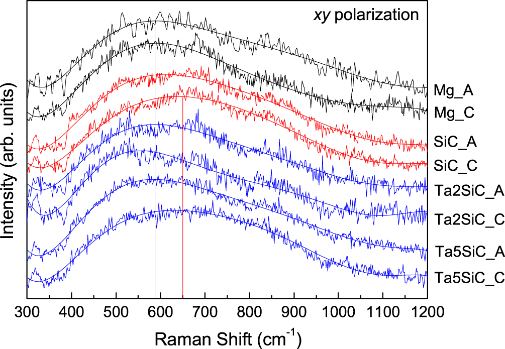 Study of TaB2 and SiC additions on the properties of MgB2 ...