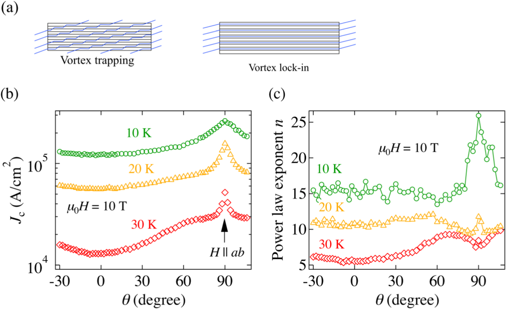 S.k様オーダー Perspectives: Light Control of Magnetism and Device