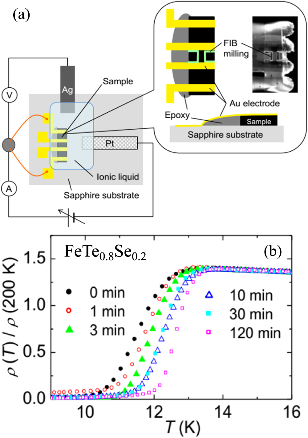 Review of annealing effects and superconductivity in Fe1+