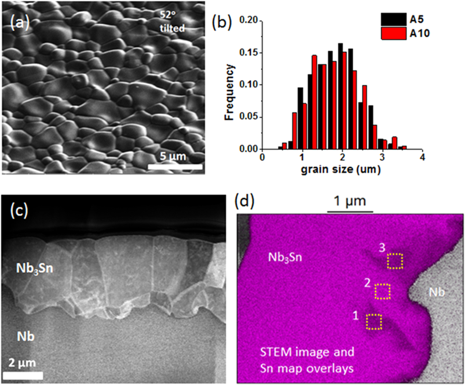 Atomic-scale analyses of Nb3Sn on Nb prepared by vapor diffusion for ...