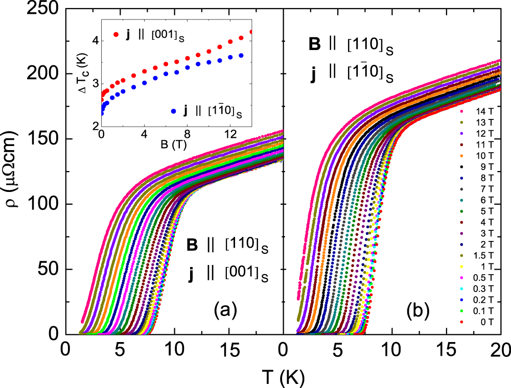 ラインマスター Anisotropic grain-boundary effect on electronic transport in