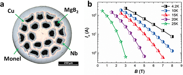 Fundamental insight in the design of multifilament MgB2 joint for ...