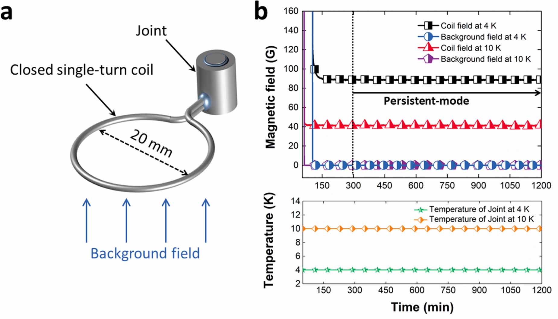 Fundamental insight in the design of multifilament MgB2 joint for ...
