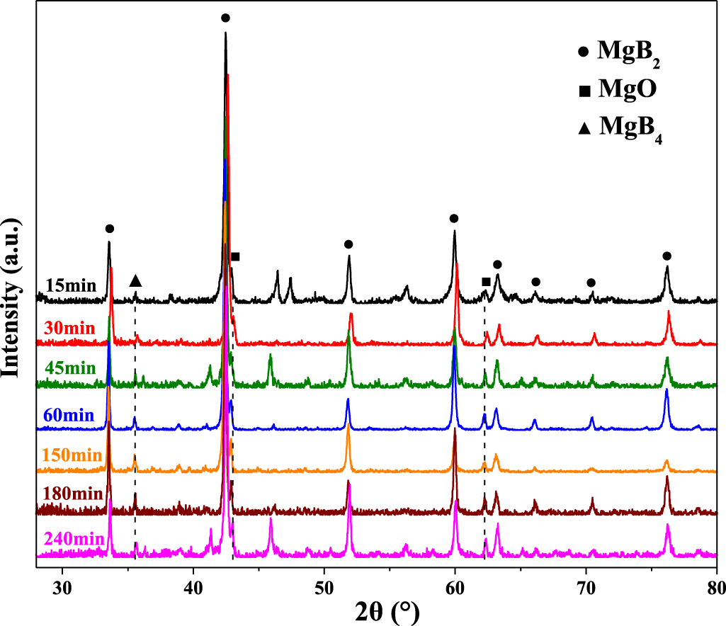 The discrepancies in different facets of MgB2 bulk superconductors ...