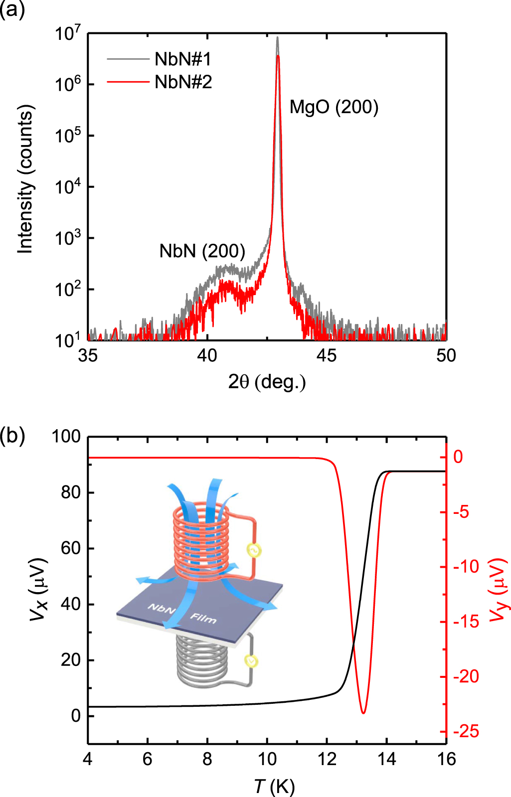 Determining the absolute value of magnetic penetration depth in small ...