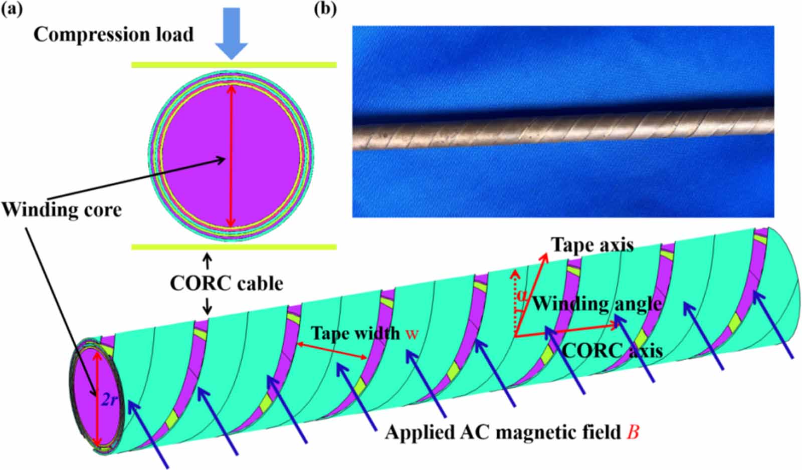 Investigating the effect of transverse compressive loads on the ...