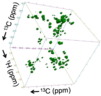 Review of recent developments in ultra-high field (UHF) NMR magnets in ...