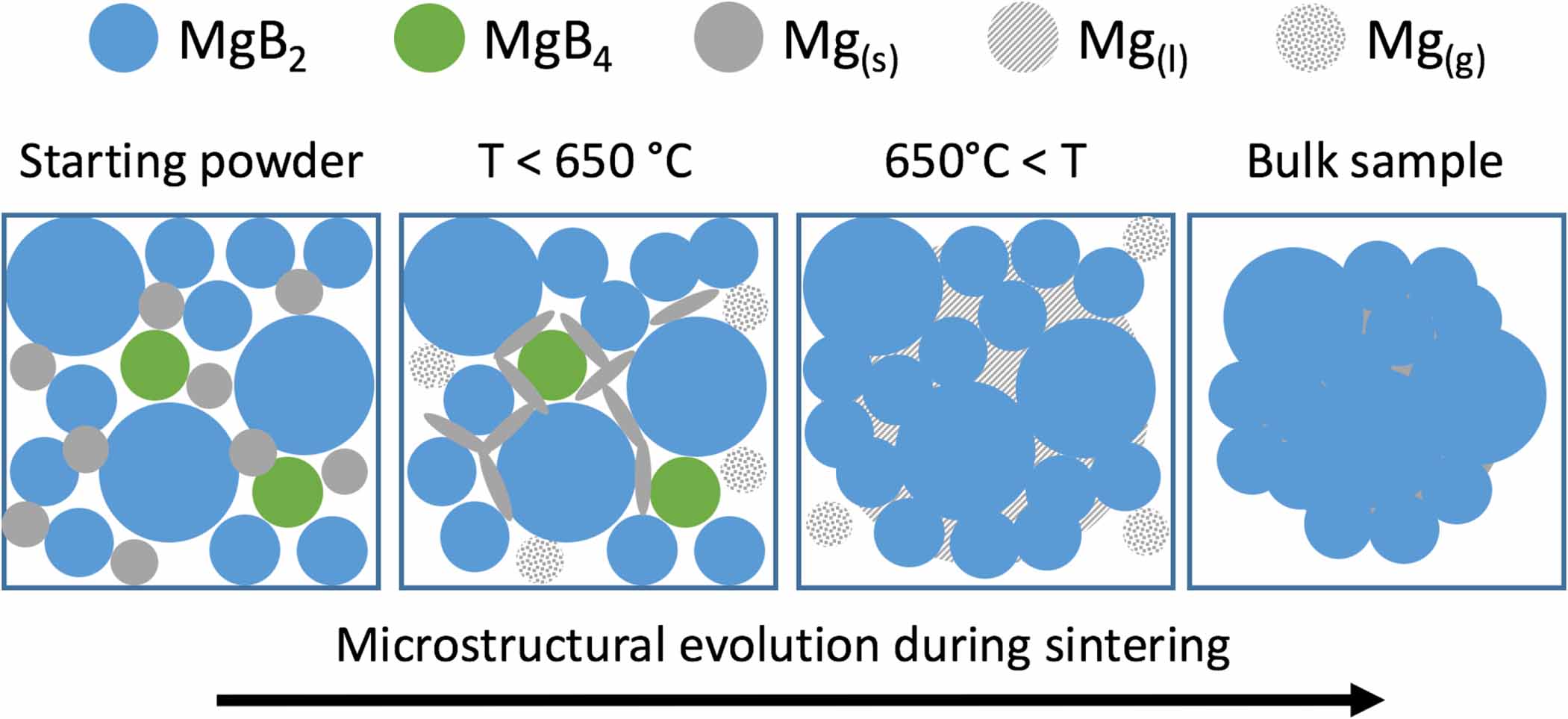 Improving the connectivity of MgB2 bulk superconductors by a novel ...