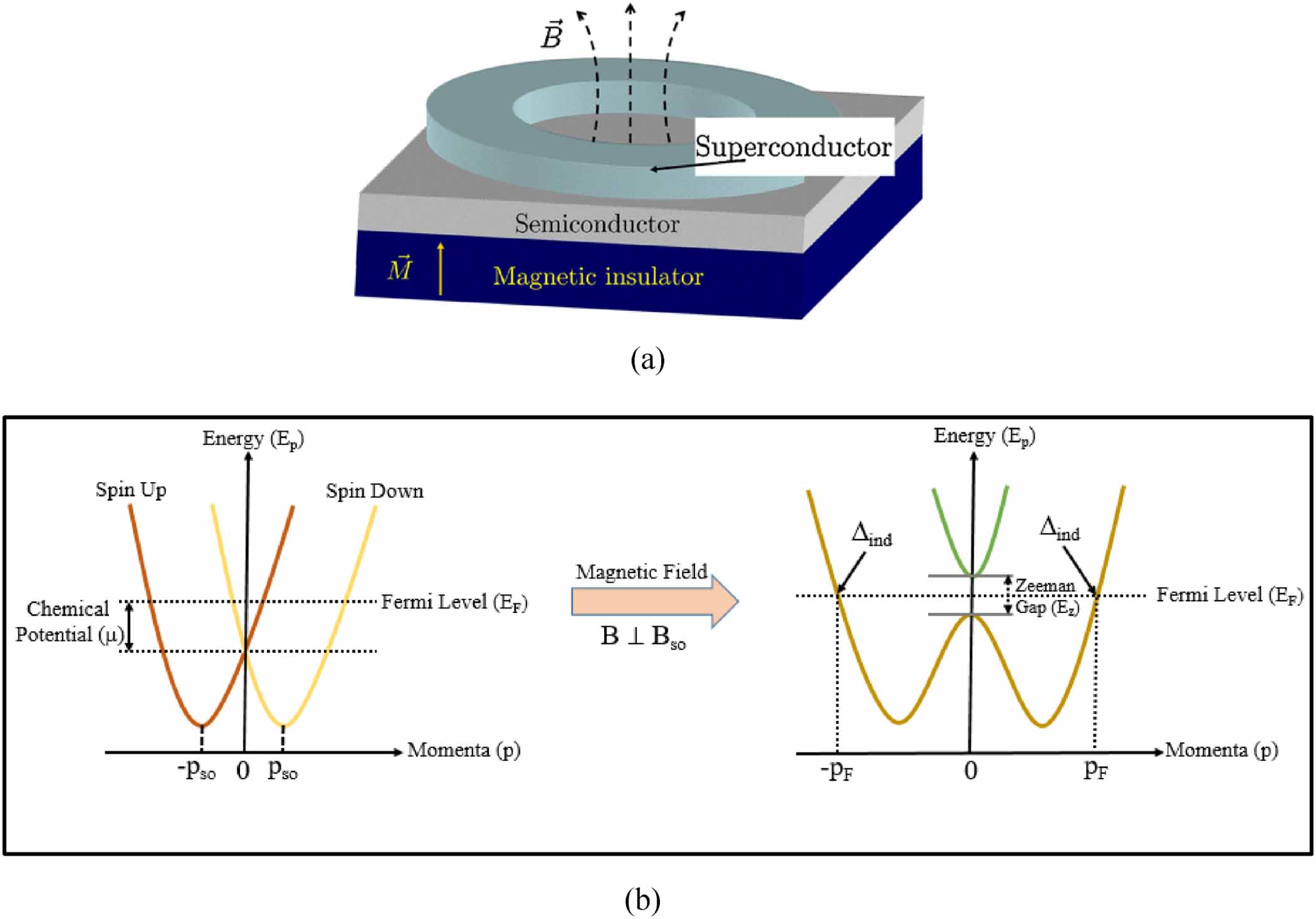 Zeeman Torque Comprehensive review on topological superconducting materials and ...