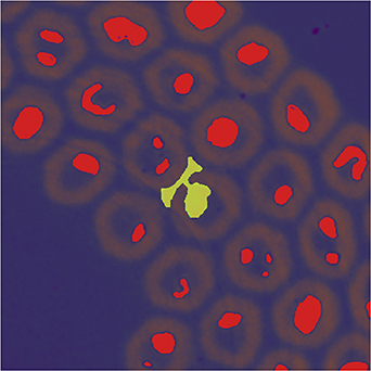 Figure 25. Refer to the following caption and surrounding text.