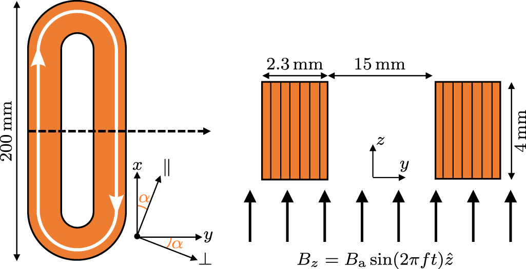 Effect of a DC transport current on the AC loss in no-insulation ReBCO ...