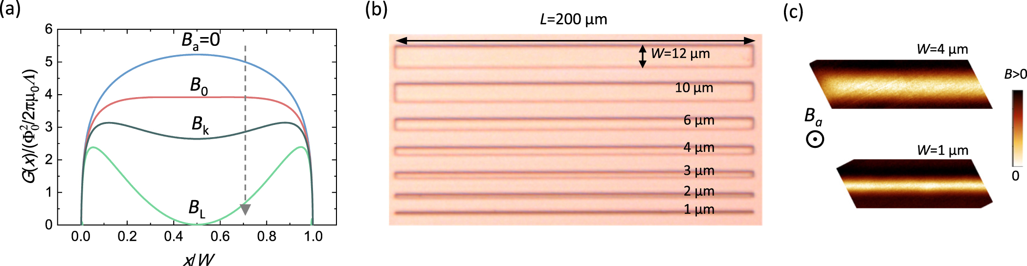 Vortex matter and critical magnetic fields in mesoscopic