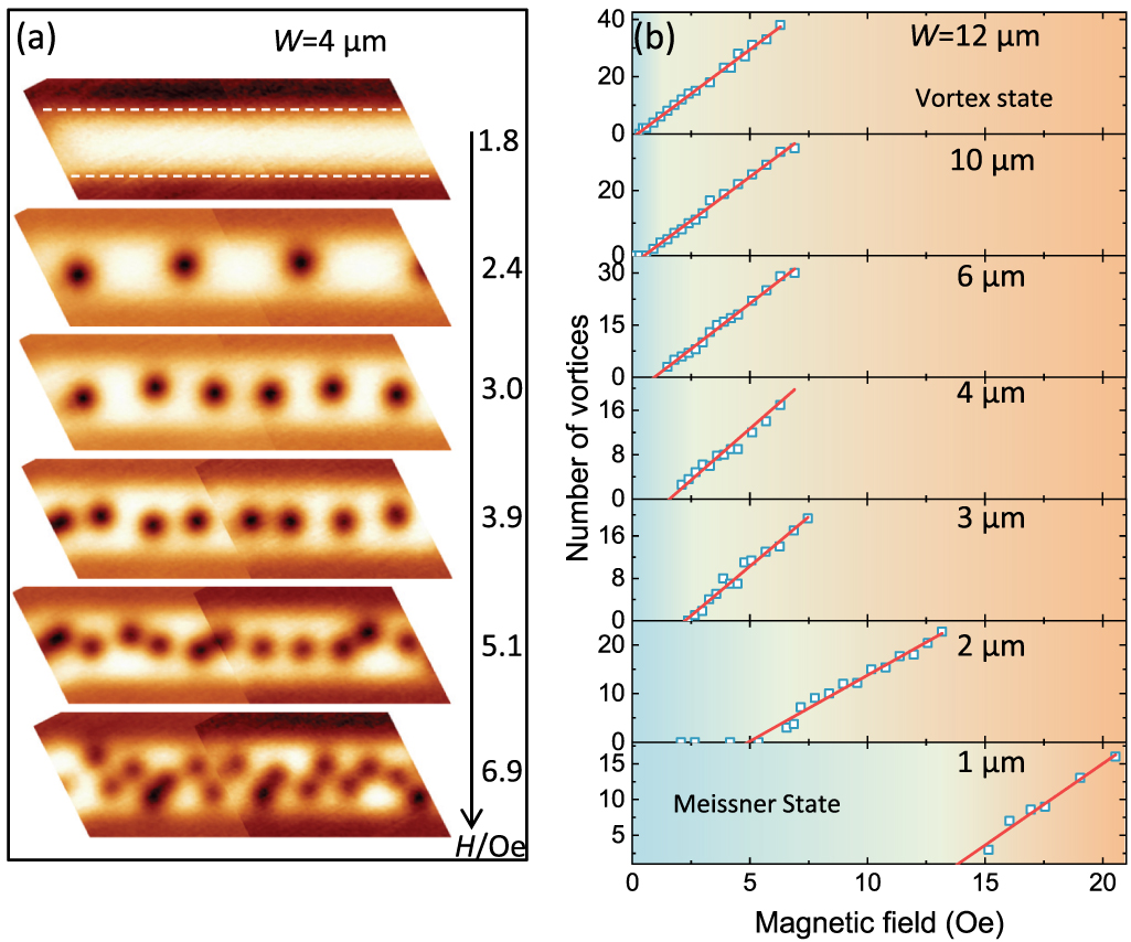 Vortex matter and critical magnetic fields in mesoscopic