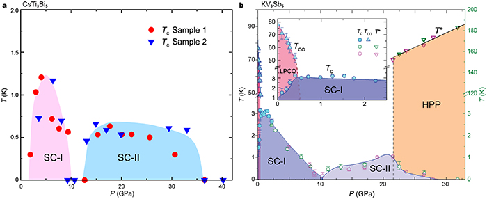 YES様 9月26日順次発売｜CONVERSE × SHINYAKOZUKA 
