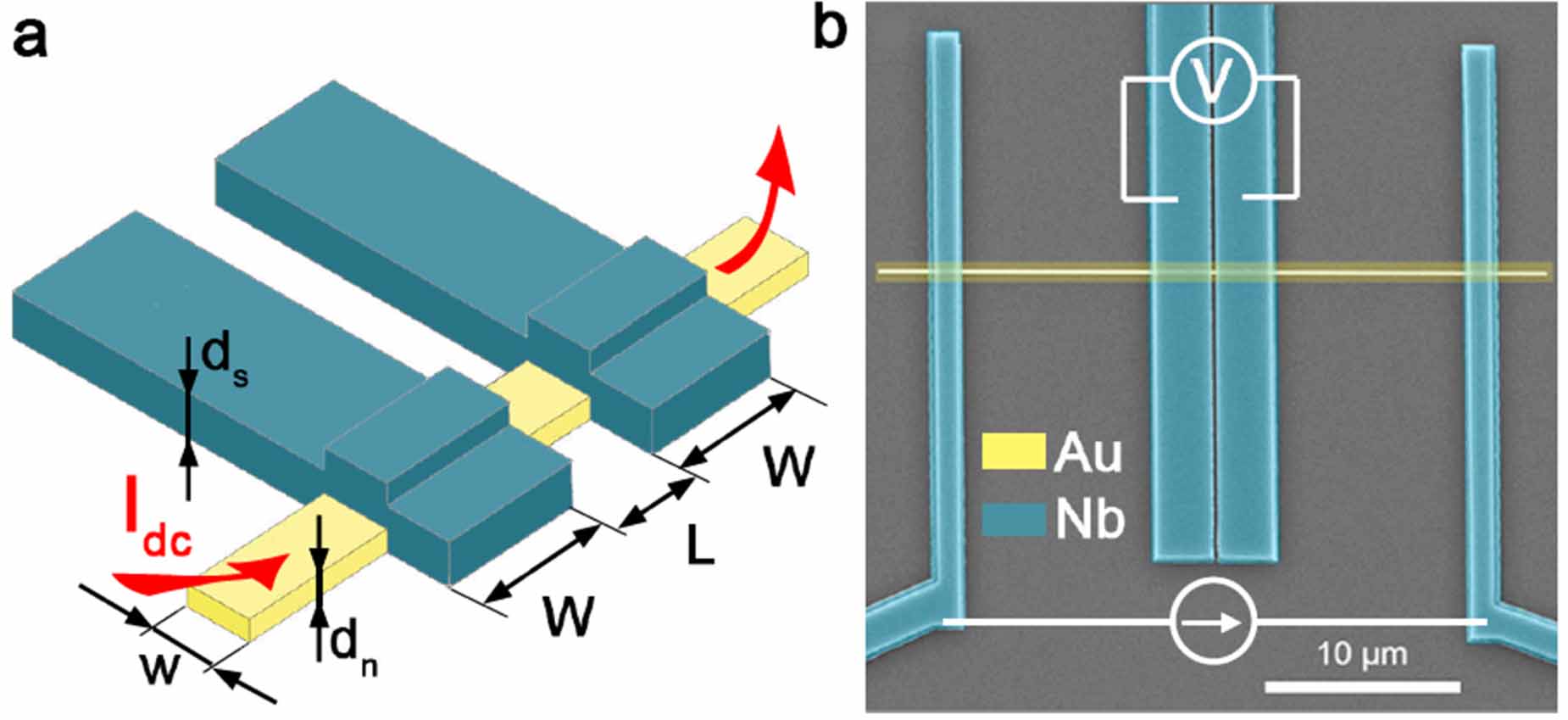 Anomalous influence of electrode width on the critical current of Nb/Au ...