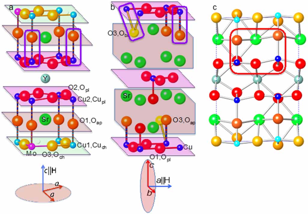 Correlation of strontium anharmonicity with charge-lattice
