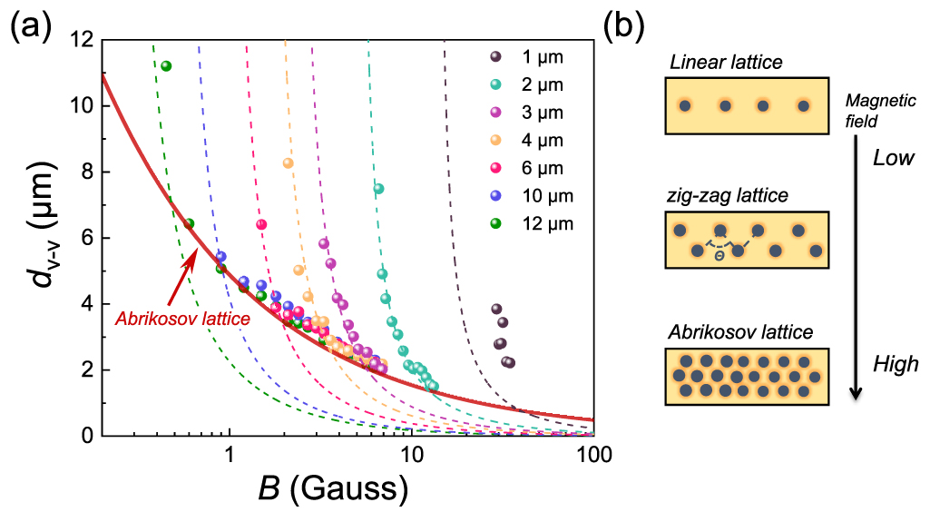 Vortex pattern transition in superconducting strips: from 1D to 2D ...