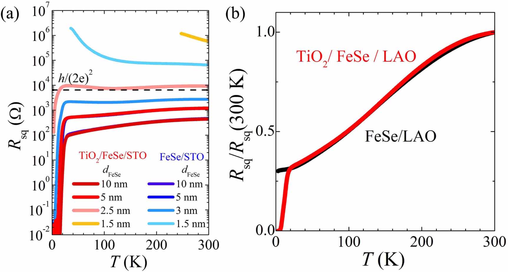 Studies of superconductivity of Fe chalcogenides in films grown by