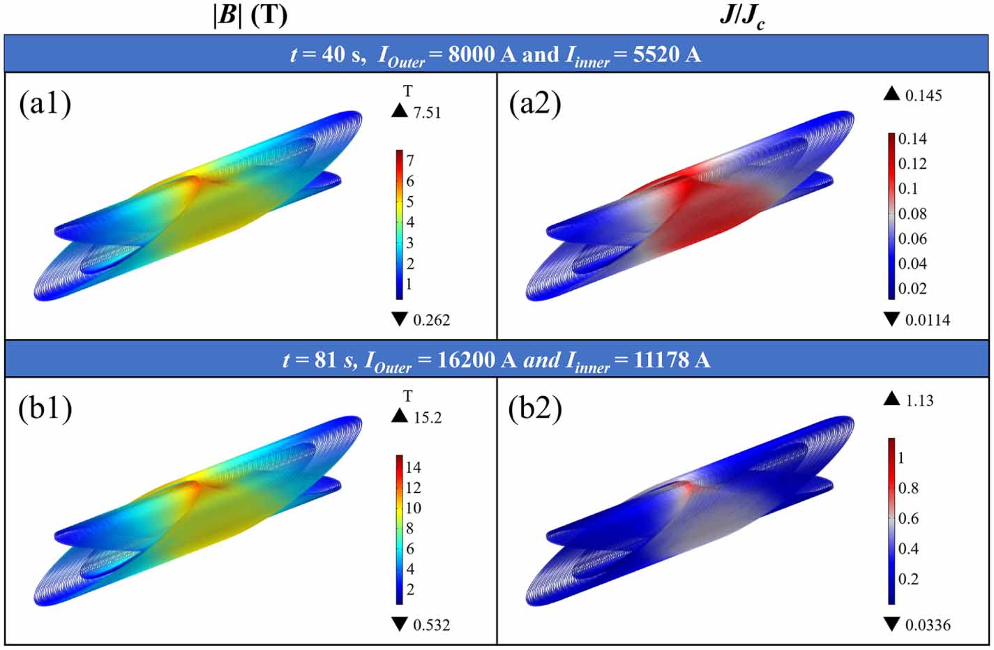 Three-dimensional multiscale modeling and simulation of the coupled ...