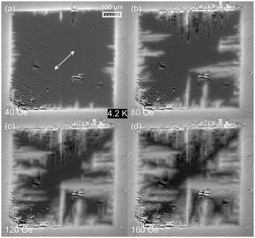 Control of twin boundaries and vortex penetration in FeSe by