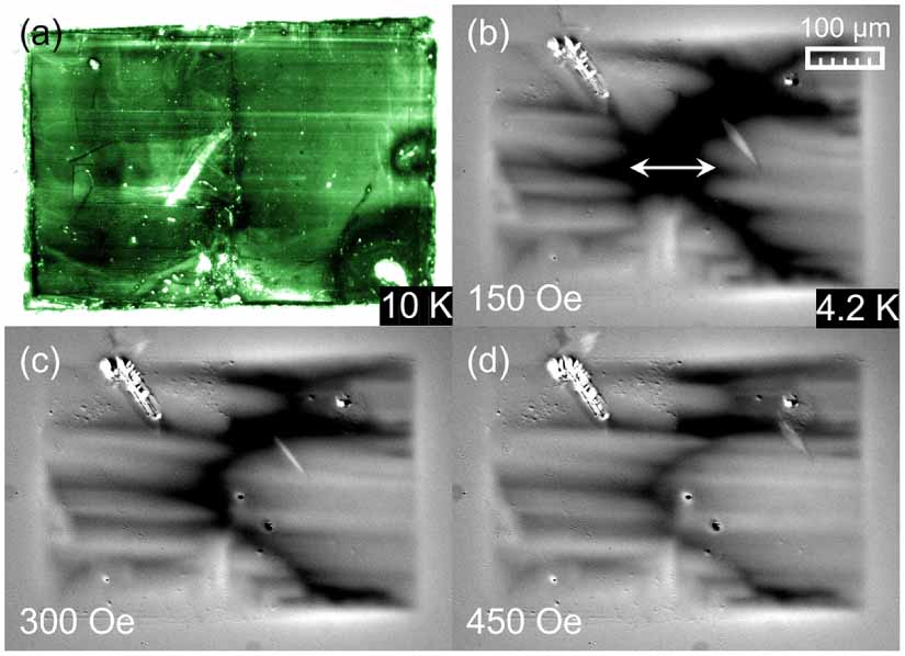Control of twin boundaries and vortex penetration in FeSe by