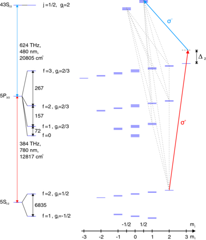 An experimental and theoretical guide to strongly interacting Rydberg ...