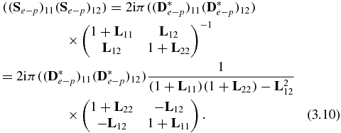 Equation (3.10)