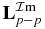 ${\bf L}^{{\rm \mathcal{I}m}}_{p-p}$