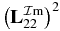 $\big({\bf L}^{{\rm \mathcal{I}m}}_{2 2}\big)^2$